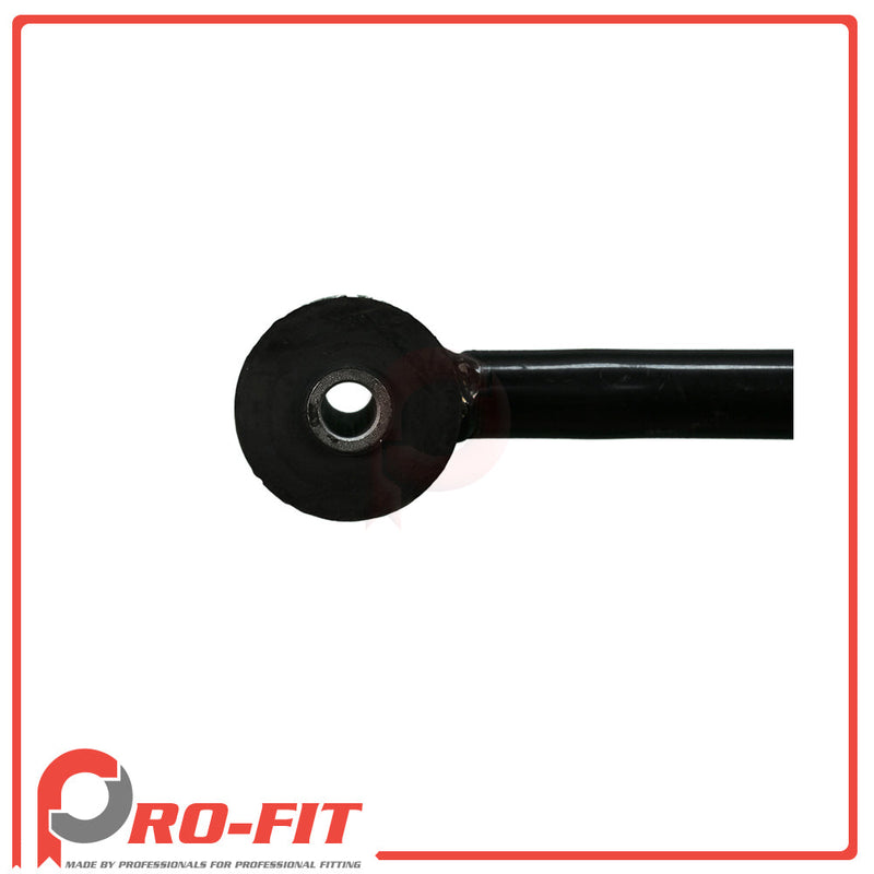 Trailing Arm - Rear Lower - 013059