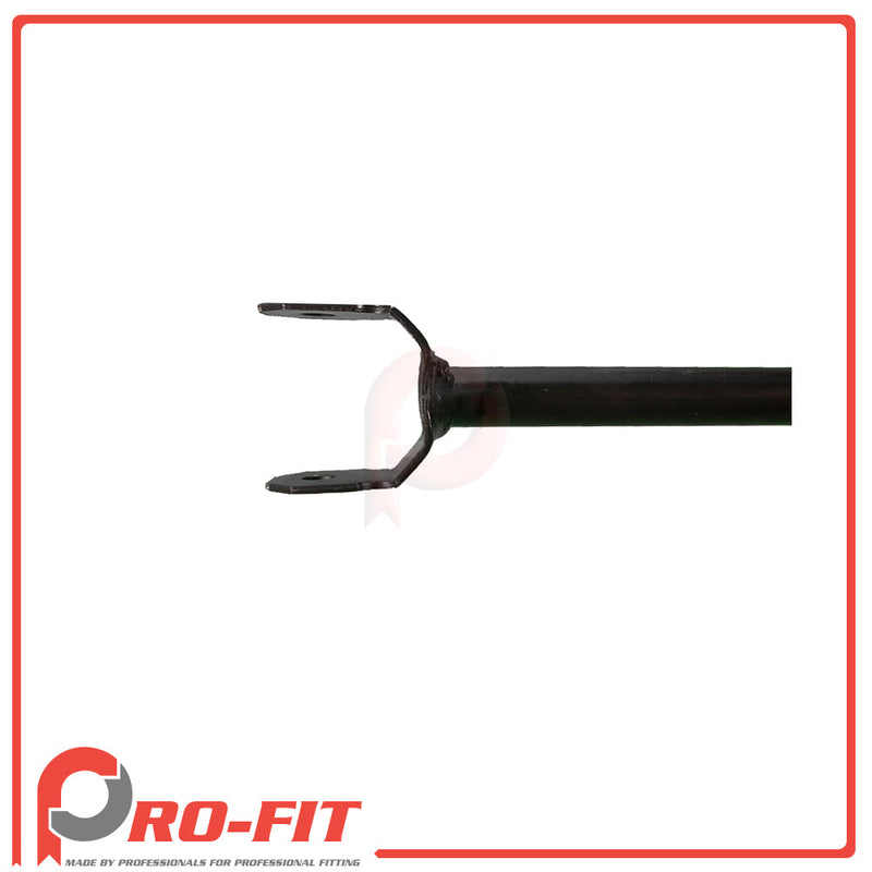 Trailing Arm-Strut Rod - Rear Lower - 043043