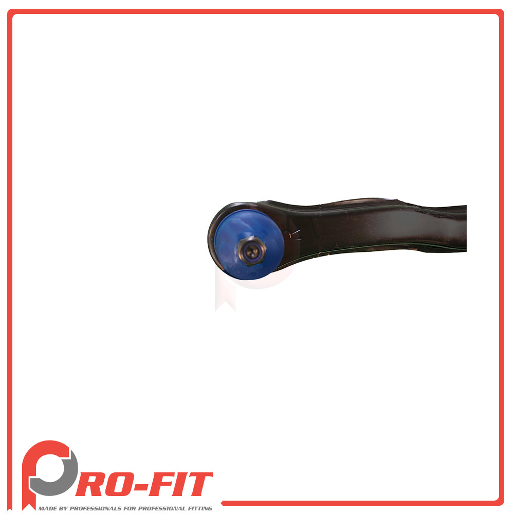 Control Arm  - Rear Right Lower - 053075